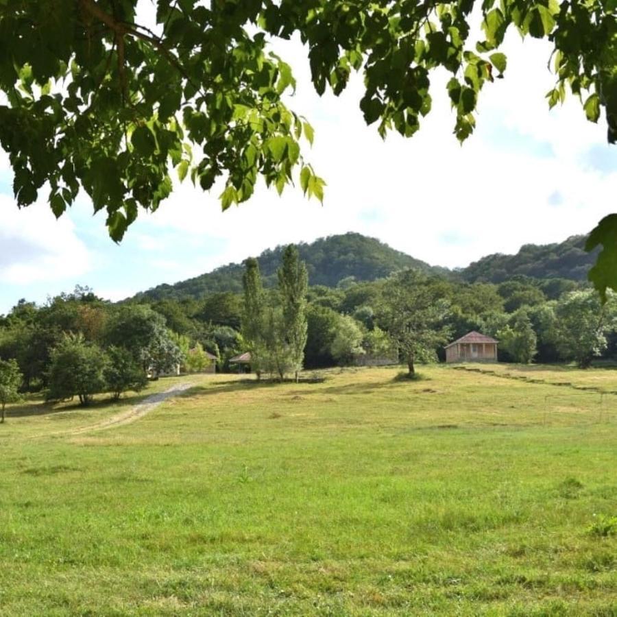 Grand Village Ismayilli Dış mekan fotoğraf